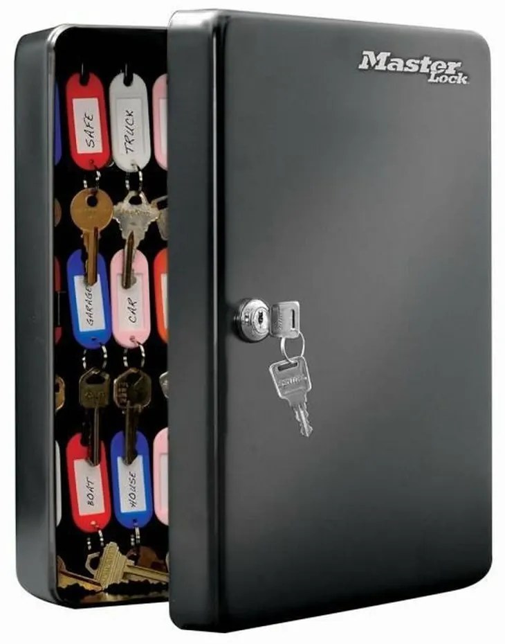 Ντουλάπα για κλειδιά Master Lock ‎9,8 x 23,9 x 30 cm 50 Κλειδιά Μαύρο Χάλυβας