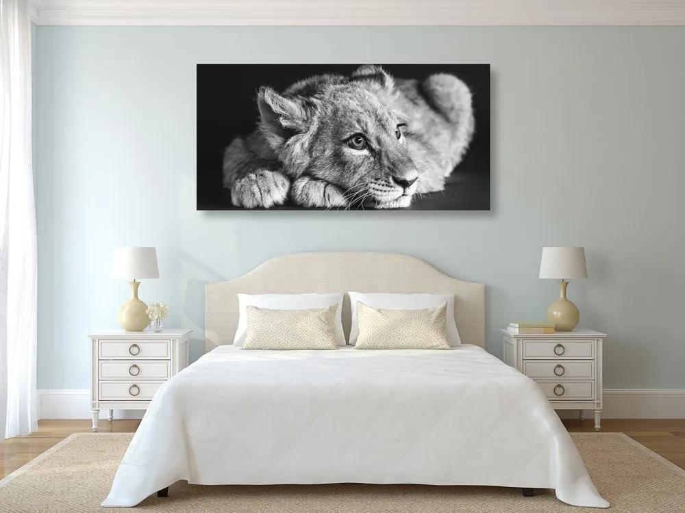 Εικόνα ενός λιονταριού σε ασπρόμαυρο - 120x60