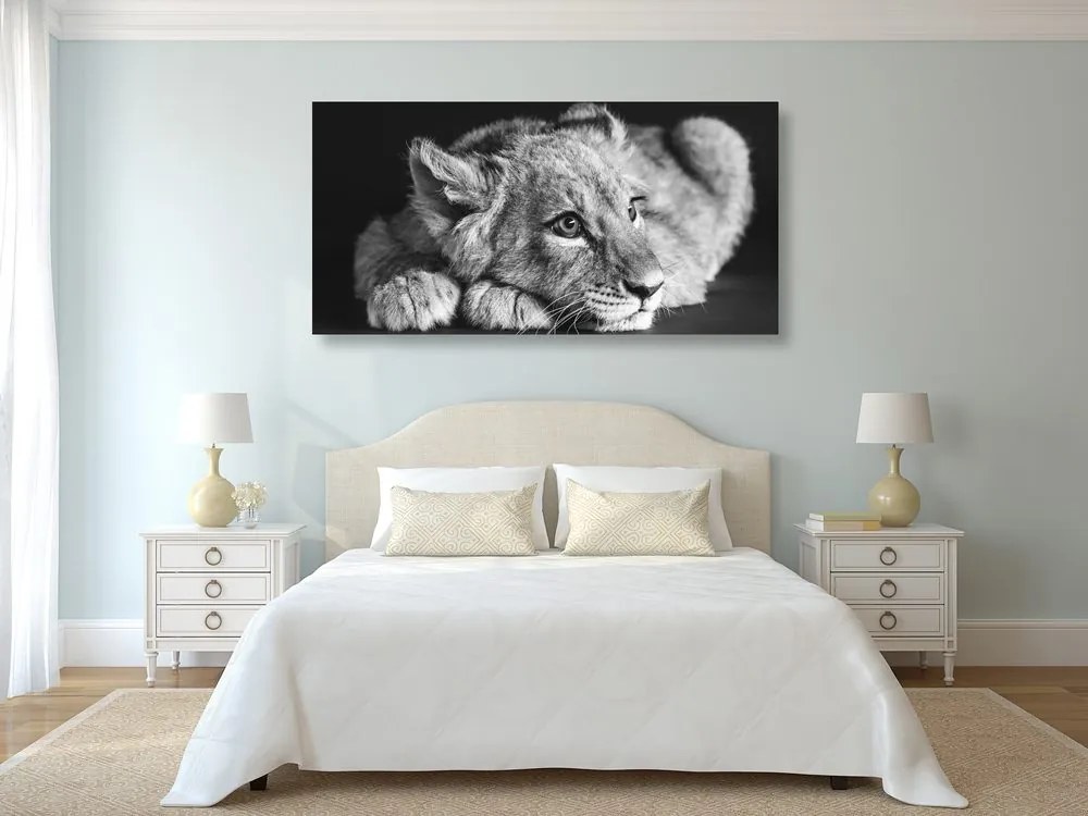 Εικόνα ενός λιονταριού σε ασπρόμαυρο