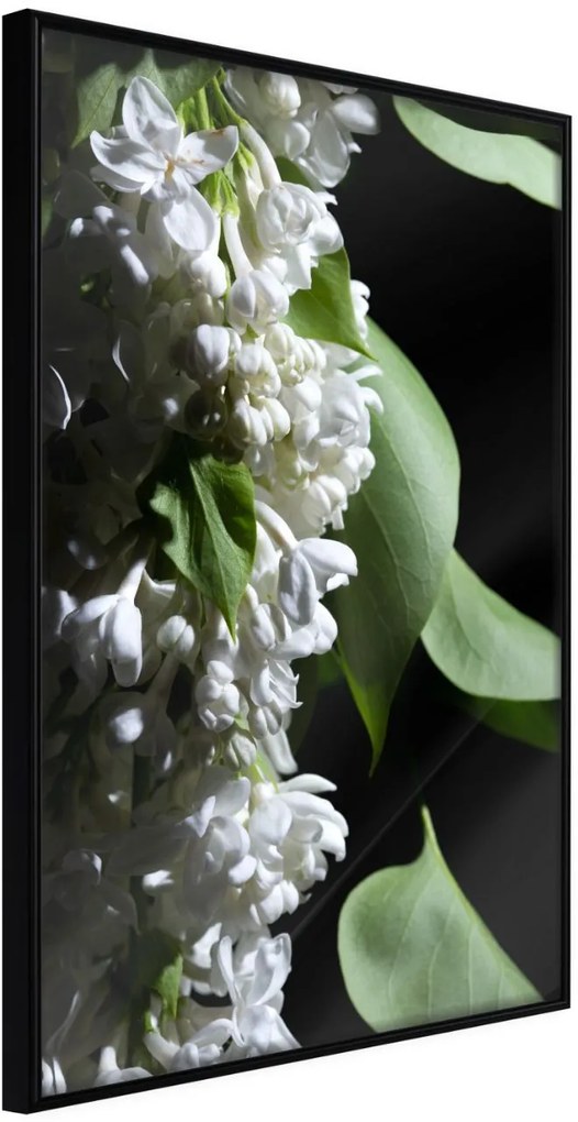 Αφίσα - Fragrant Spring - 30x45 - Μαύρο - Χωρίς πασπαρτού