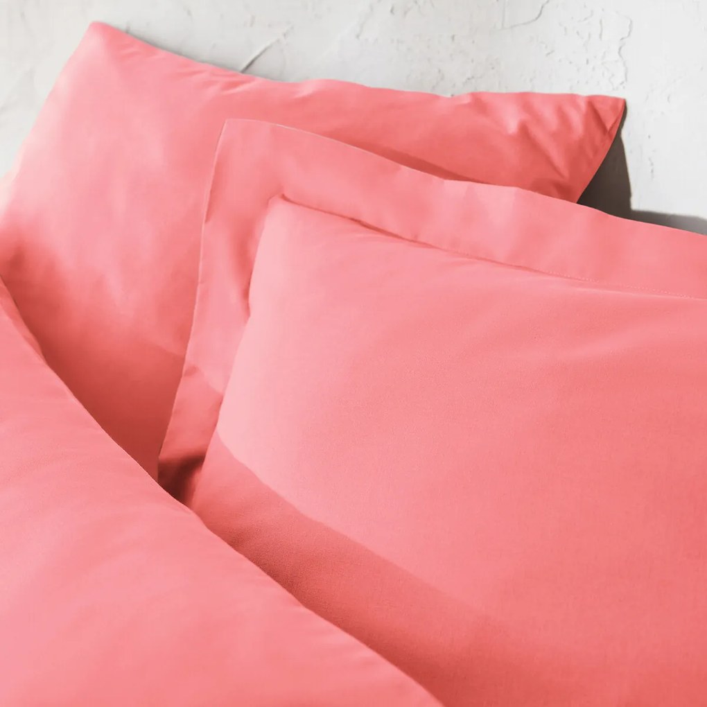 Βαμβακερή μονόχρωμη παπλωματοθήκη, Scénario