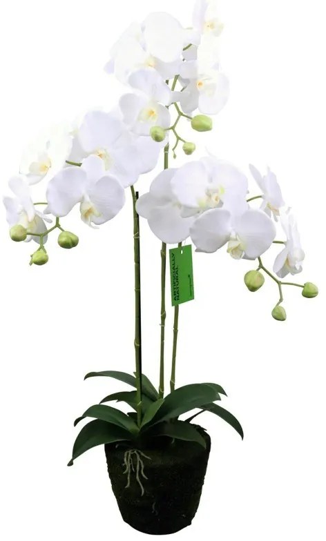 Supergreens Τεχνητό Φυτό Ορχιδέα Phalaenopsis Λευκό 80 εκ.
