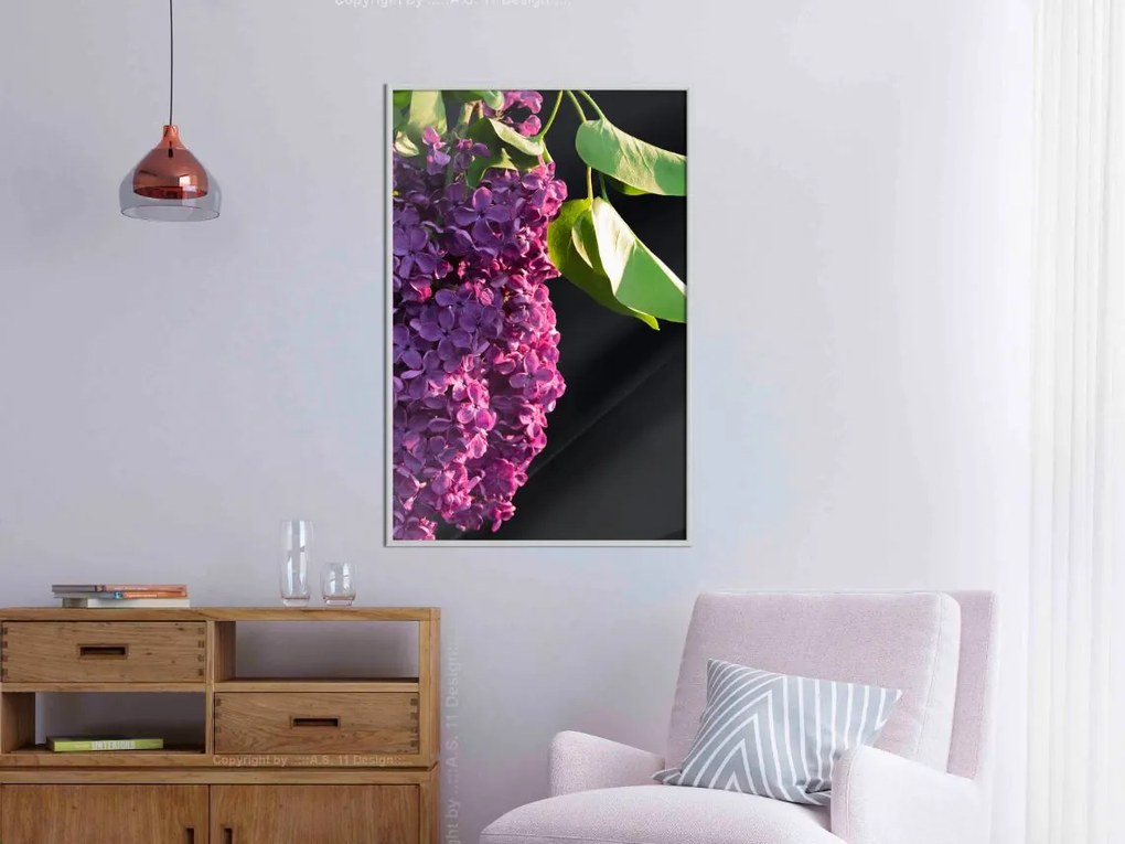 Αφίσα - Violet May - 20x30 - Μαύρο - Με πασπαρτού