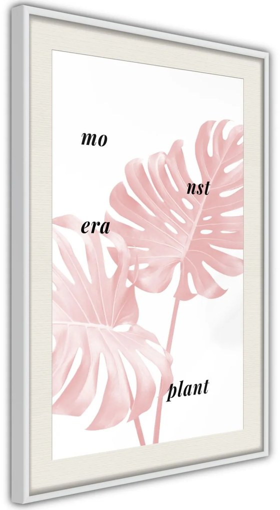 Αφίσα - Pale Pink Monstera - 20x30 - Χρυσό - Χωρίς πασπαρτού