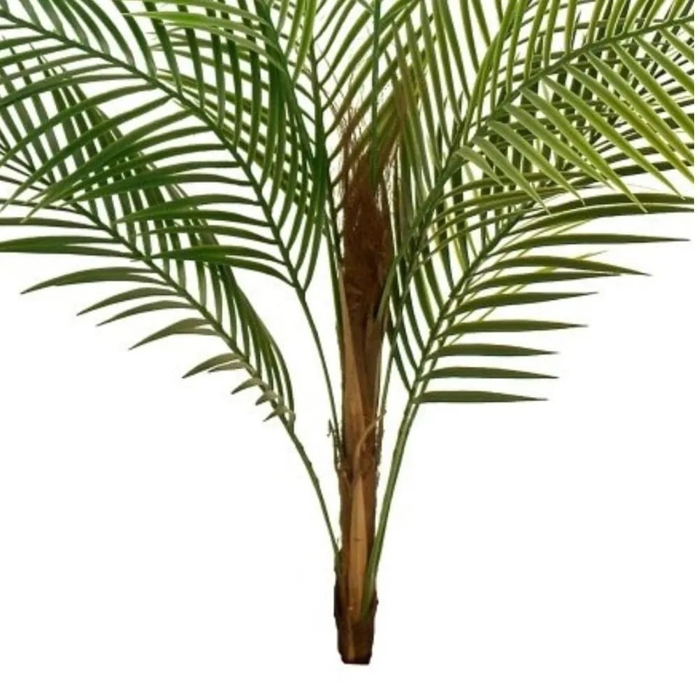 Foliage - Branch CONCORAL Αρέκα 4000821-GR