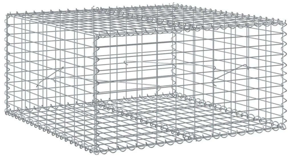 vidaXL Συρματοκιβώτιο με Κάλυμμα 100x100x50εκ. από Γαλβανισμένο Χάλυβα