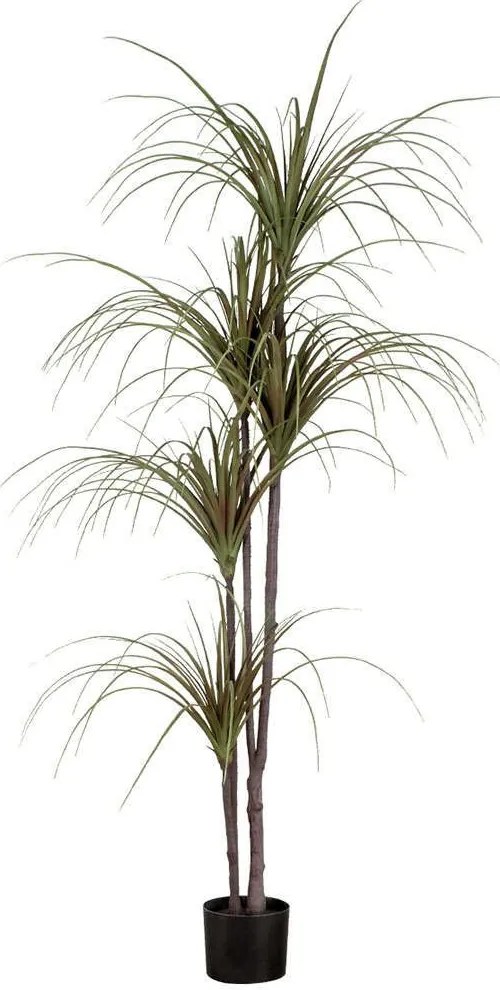 Τεχνητό Δέντρο Dragon Blood Tree 20016 Φ140x180cm Multi Globostar Πολυαιθυλένιο