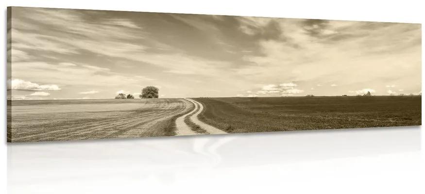 Εικόνα όμορφο τοπίο σε σέπια - 150x50
