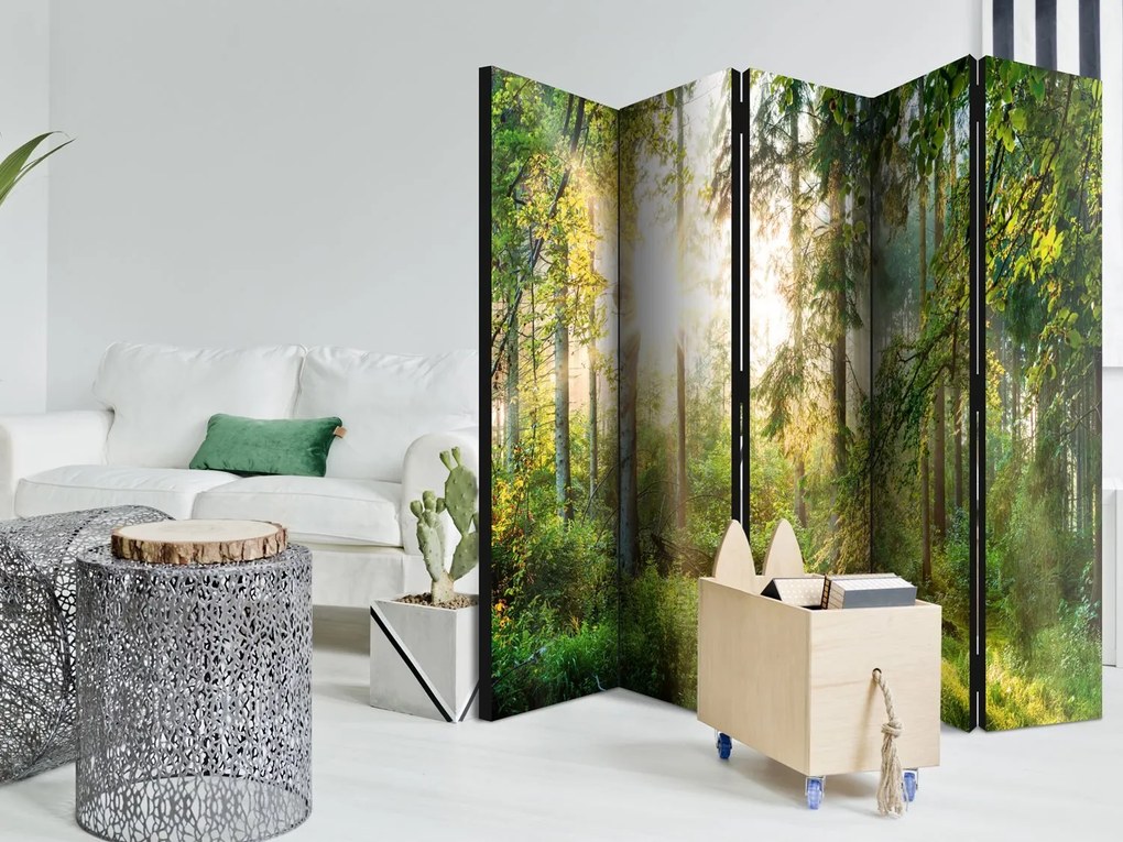 Διαχωριστικό με 5 τμήματα - Untamed Nature II [Room Dividers] 225x172