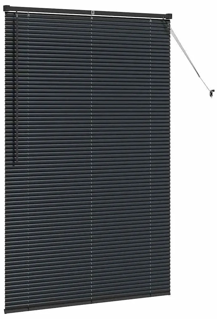 vidaXL Ρολό Παραθύρου με κουρτίνες Μαύρο Αλουμίνιο
