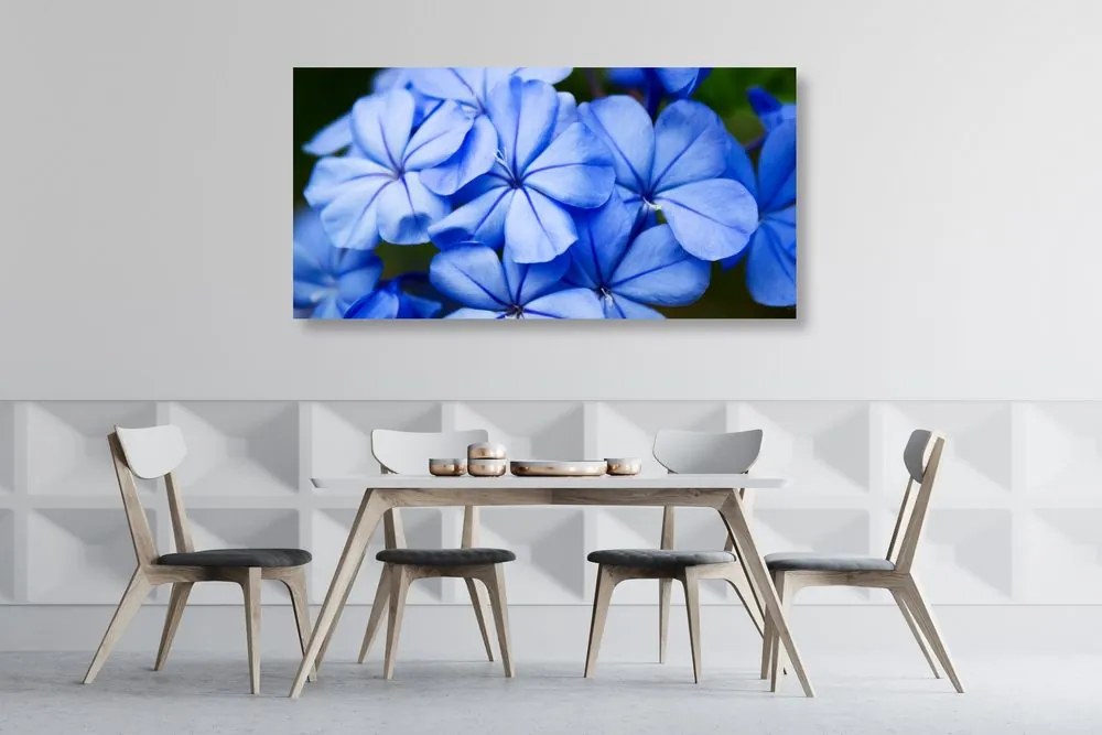 Εικόνα με γραφικά μπλε λουλούδια - 100x50