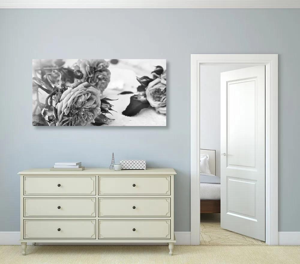 Εικόνα ανθισμένων τριαντάφυλλων σε μαύρο & άσπρο - 120x60