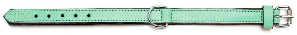 Κολλάρο Σκύλου Gloria Γεμισμένο Πράσινο (30 x 1,5 cm)