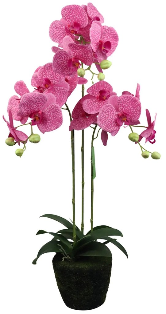 Supergreens Τεχνητό Φυτό Ορχιδέα Phalaenopsis Ροζ 80 εκ.