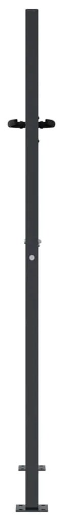 vidaXL Πόρτα Κήπου Ανθρακί 100x125 εκ. Σχέδιο Χαλυβδόφυλλου
