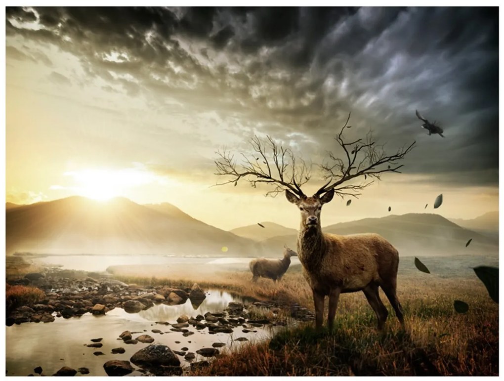 Φωτοταπετσαρία - Deers by mountain stream 250x193