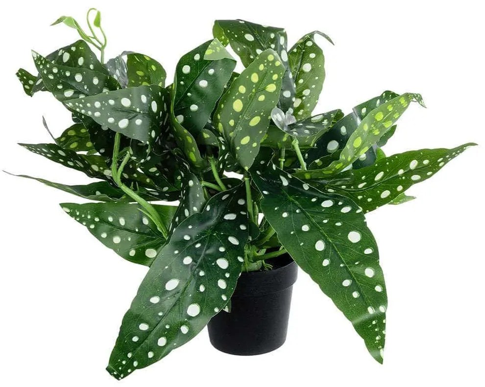 Τεχνητό Φυτό Σε Κασπώ Begonia Polka Dot 20959 Φ50x22cm Green-White GloboStar Πολυαιθυλένιο,Ύφασμα