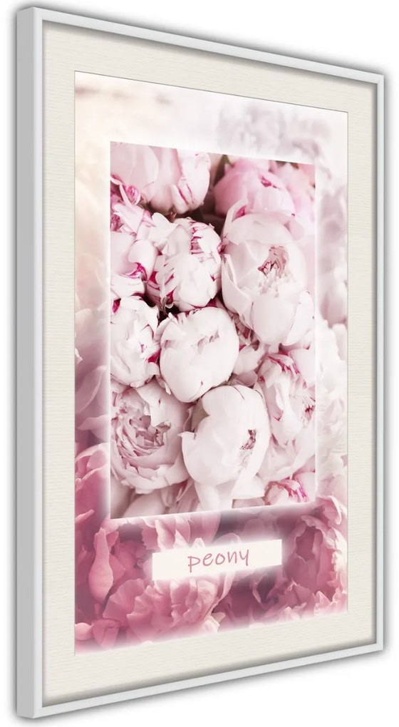 Αφίσα - Scent of Peonies - 20x30 - Χρυσό - Χωρίς πασπαρτού