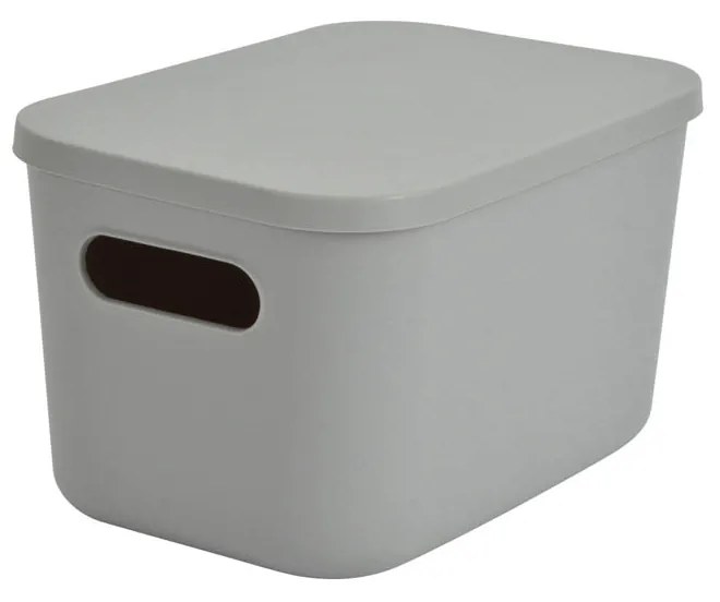 Κουτί Αποθήκευσης (25x17.5x14.5) L-C Gris 6RAN840GR