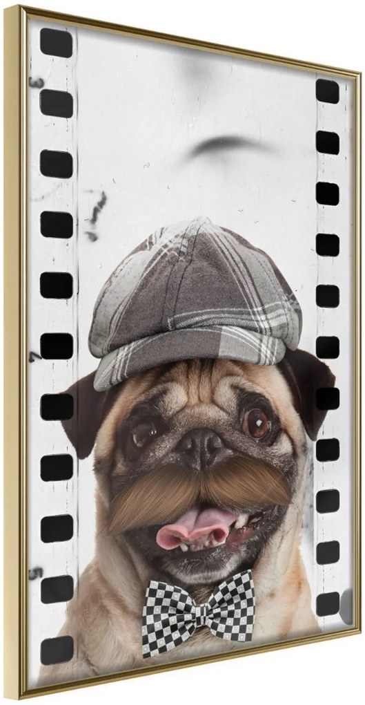 Αφίσα - Dressed Up Pug - 20x30 - Χρυσό - Χωρίς πασπαρτού