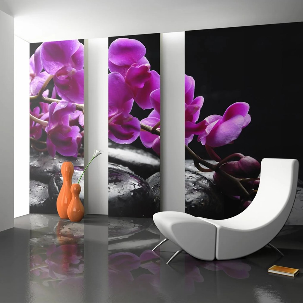 Φωτοταπετσαρία - Relaxing moment: orchid flower and stones 200x154