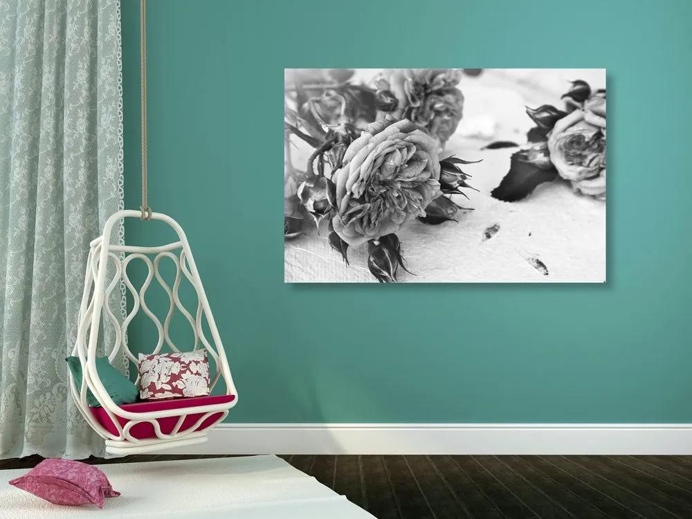 Εικόνα ενός ανθισμένου τριαντάφυλλου σε μαύρο & άσπρο - 120x80