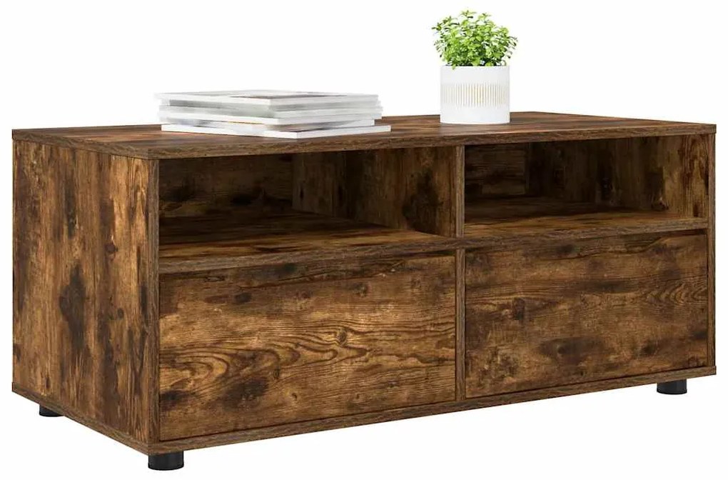 vidaXL Ντουλάπι TV Καπνιστό Δρύς 100 x 48 x 43 εκ. Επεξεργασμένο ξύλο