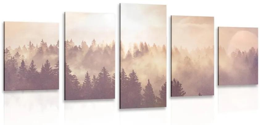 Εικόνα 5 μερών ομίχλη πάνω από το δάσος - 100x50