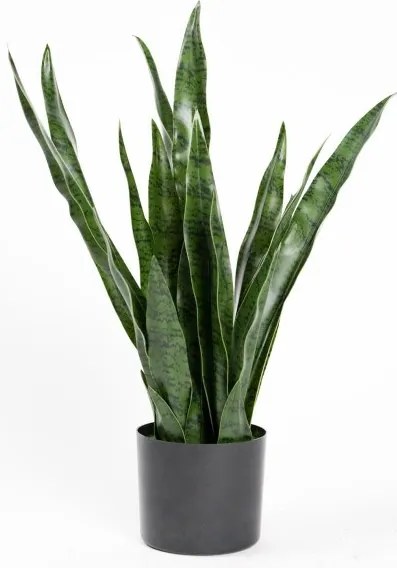 Τεχνητό Φυτό Σανσεβιέρια Robusta 70 εκ. 0980-6 Supergreens-0980-6-Πράσινο 0980-6