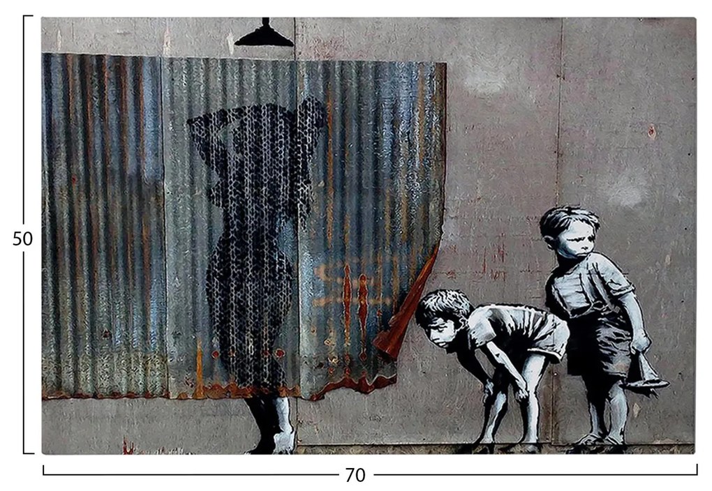 Πίνακας Τοίχου Σειρά GOBI C4821 Εκτυπωμένος Καμβάς 70x3(πάχος)x50Yεκ. 70x3x50 εκ.