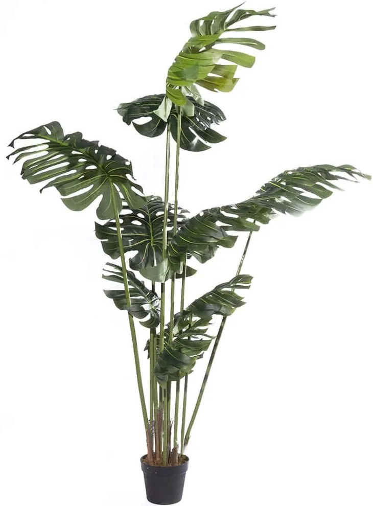 Τεχνητό Δέντρο Μονστέρα Grand 1311-6 100x100x210cm Green Supergreens Πολυαιθυλένιο
