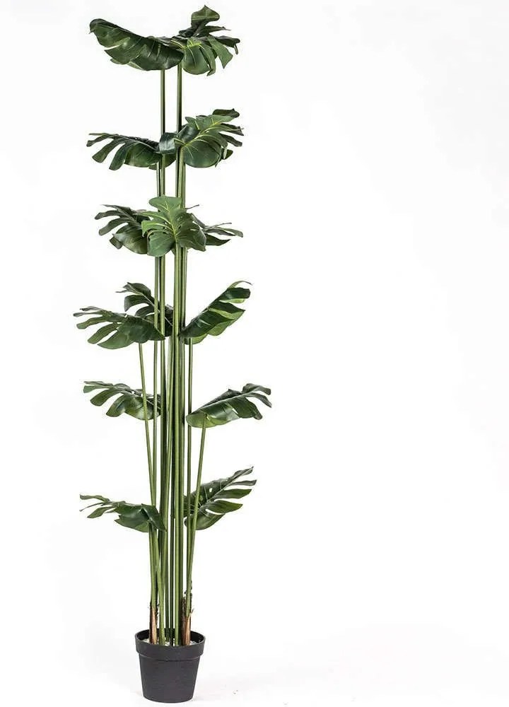 Τεχνητό Δέντρο Μονστέρα 2880-6 50x200cm Green Supergreens Polyethylene