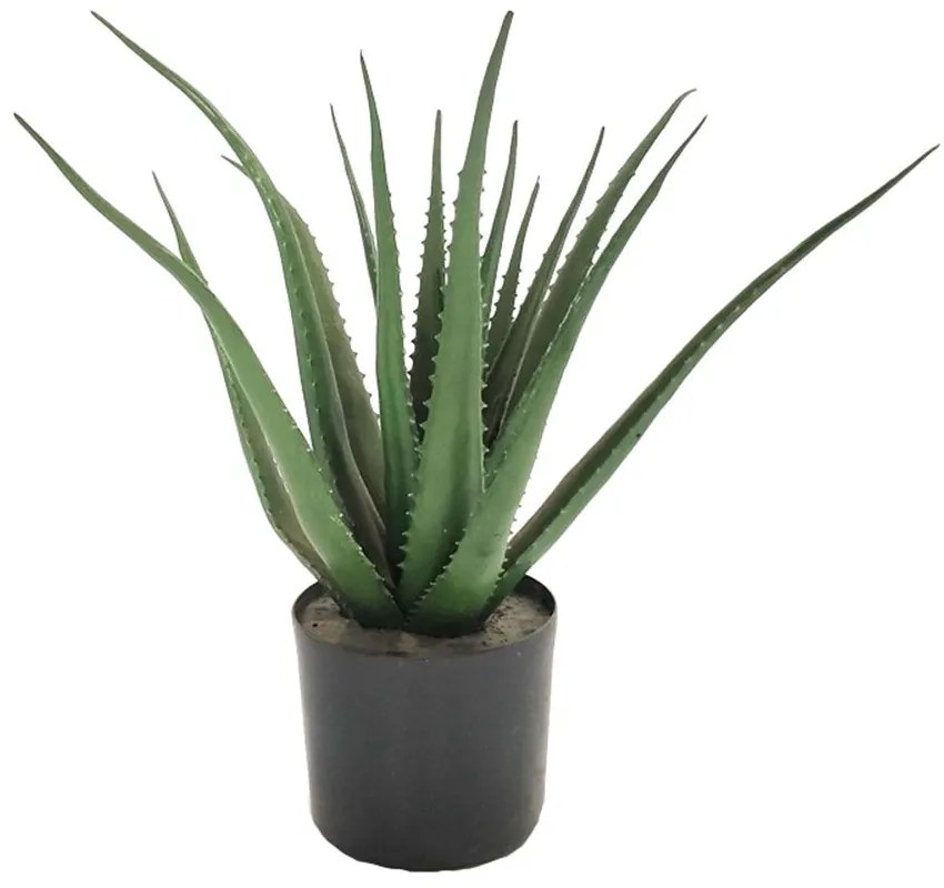 Διακοσμητικό Φυτό Σε Γλάστρα Aloe 316-000020 H51cm Black-Green Inart Πολυπροπυλένιο