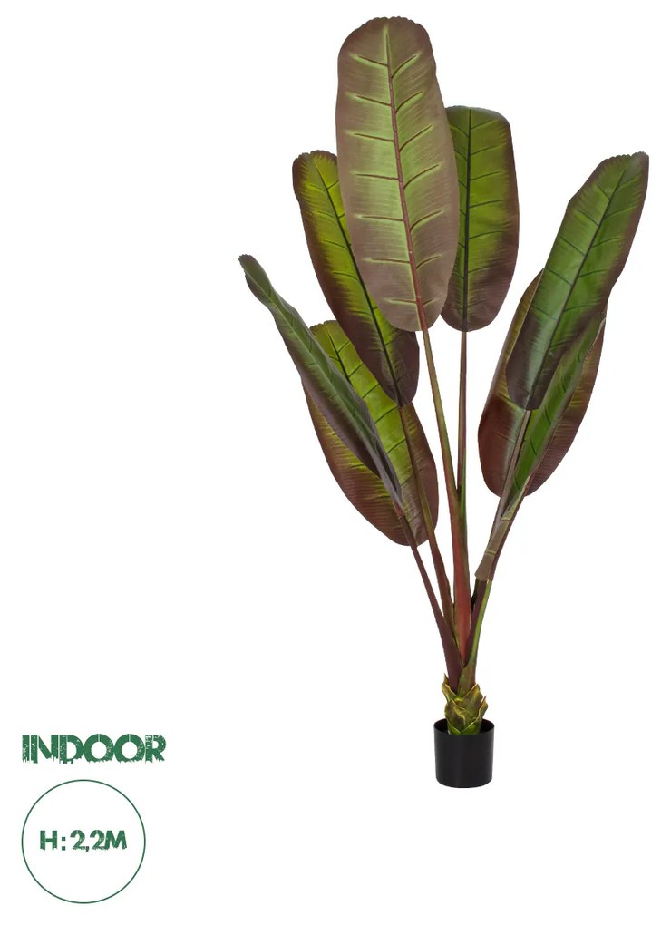 GloboStar® Artificial Garden BLOODY BANANA TREE 20119 Τεχνητό Διακοσμητικό Φυτό Αιματόφυλλη Μπανανιά - Μπανανόδεντρο Υ220cm