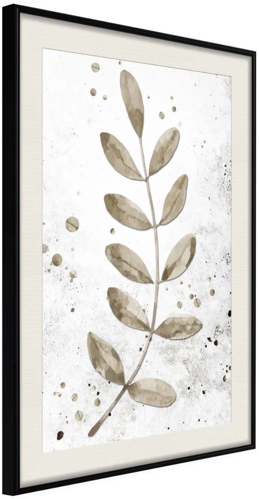 Αφίσα - Dried Twig - 20x30 - Μαύρο - Με πασπαρτού