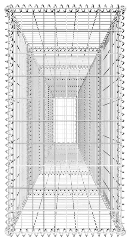 vidaXL Συρματοκιβώτιο Τοίχος 600x50x100 εκ. Γαλβαν.Χάλυβας + Κάλυμμα