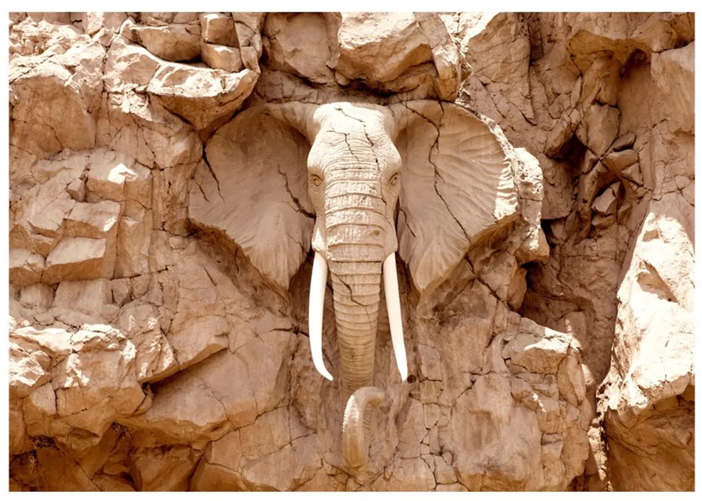 Φωτοταπετσαρία - Stone Elephant (South Africa) 100x70