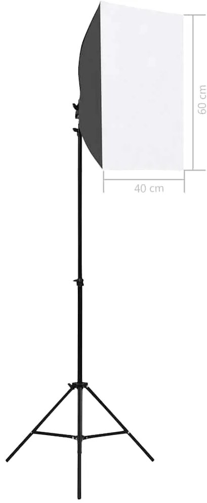 vidaXL Φωτιστικά Studio Επαγγελματικά 2 τεμ. Μαύρα 40x60 εκ. Ατσάλινα