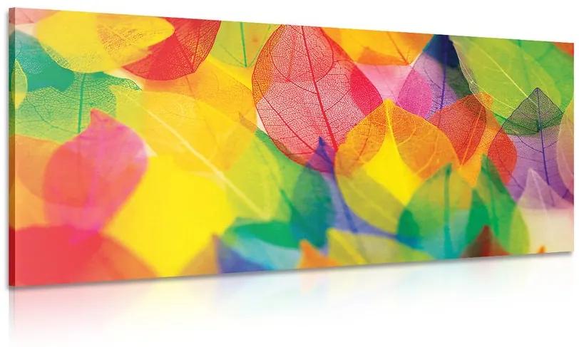 Φύλλα εικόνας σε φθινοπωρινά χρώματα - 100x50