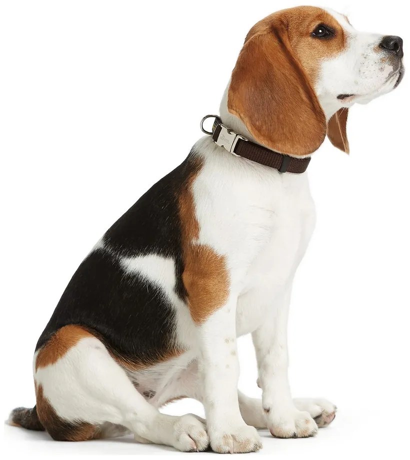 Κολλάρο Σκύλου Hunter Alu-Strong Μαύρο Μέγεθος M (40-55 cm)