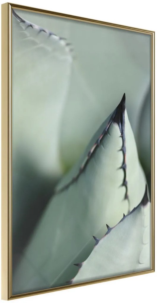 Αφίσα - Young Leaf of Agave - 30x45 - Χρυσό - Χωρίς πασπαρτού