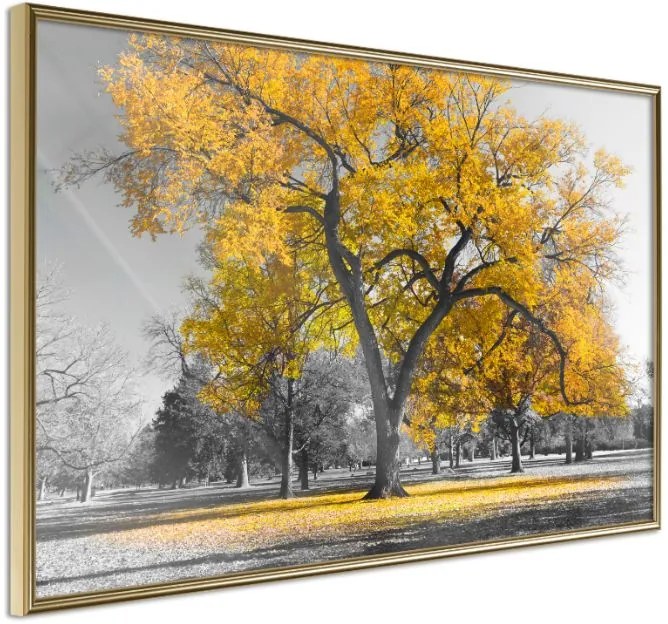 Αφίσα - Golden Tree - 45x30 - Χρυσό - Χωρίς πασπαρτού