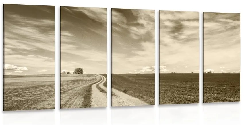 Εικόνα 5 μερών όμορφο τοπίο σε σέπια - 100x50
