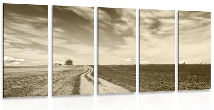 Εικόνα 5 μερών όμορφο τοπίο σε σέπια - 200x100