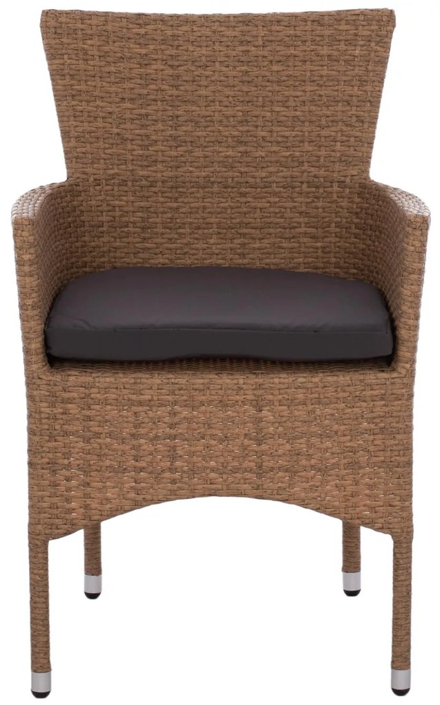 Καρέκλα - Πολυθρόνα NISHA C5684.02 Μεταλλική με Wicker Καφέ - Μόκα &amp; Μαξιλάρι 58x60x87 εκ. 58x60x87 εκ.