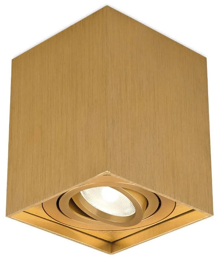 Φωτιστικό Σποτ Braytron BH04-00316 Χρυσό Ματ (Gold Mat- Satin)