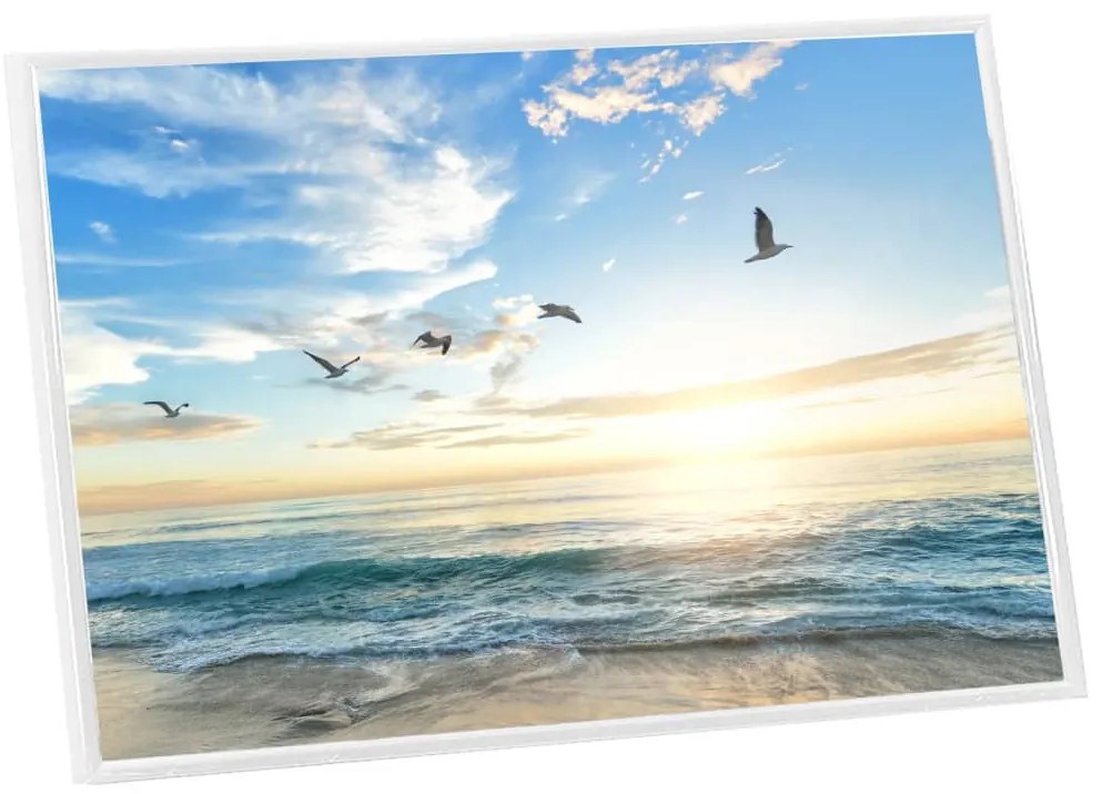 vidaXL Κορνίζες Κολάζ Επιτραπέζιες 5 τεμ. Λευκές 21 x 29,7 εκ MDF