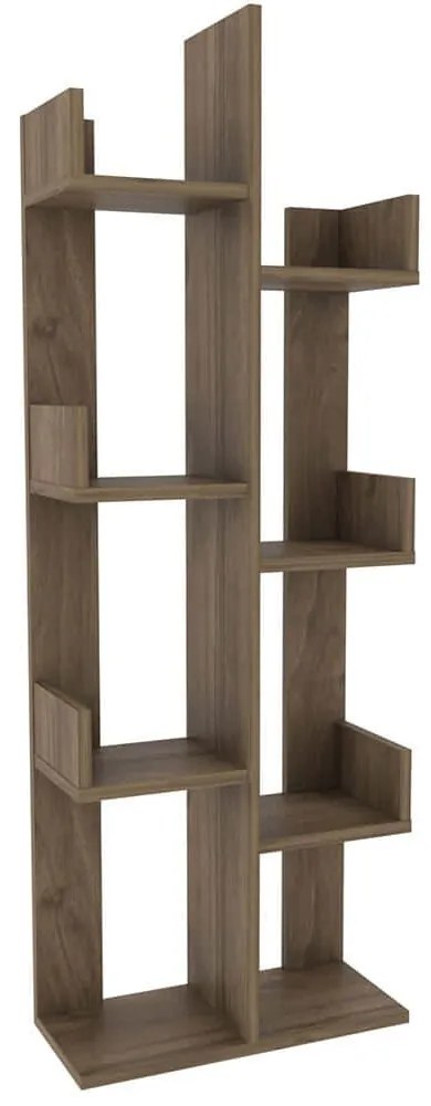 Βιβλιοθήκη Luisa 322RTC1105 50x22x137cm Walnut