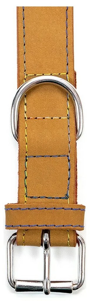 Κολλάρο Σκύλου Gloria Oasis Κίτρινο (55 x 2,5 cm)