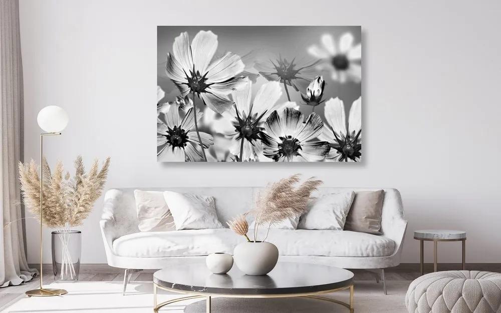 Εικόνα καλοκαιρινών λουλουδιών σε μαύρο & άσπρο - 120x80